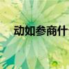 动如参商什么生肖（动如参商什么意思）