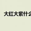大红大紫什么意思啊（大红大紫什么意思）
