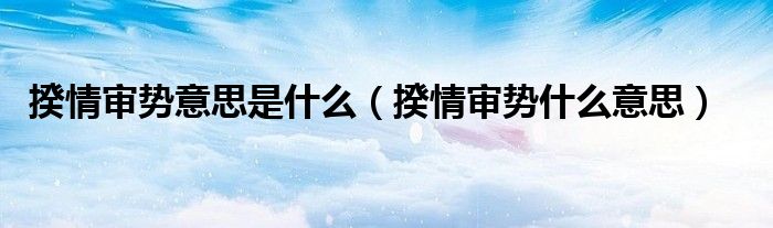 揆情审势意思是什么（揆情审势什么意思）