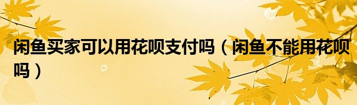 闲鱼买家可以用花呗支付吗（闲鱼不能用花呗吗）