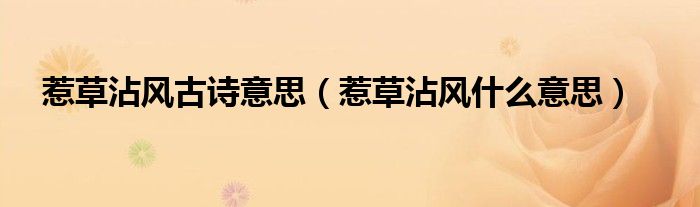 惹草沾风古诗意思（惹草沾风什么意思）
