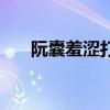 阮囊羞涩打一字（阮囊羞涩什么意思）