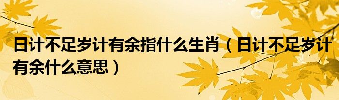 日计不足岁计有余指什么生肖（日计不足岁计有余什么意思）