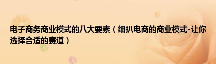 电子商务商业模式的八大要素（细扒电商的商业模式-让你选择合适的赛道）