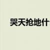 哭天抢地什么意思（哭天抢地什么意思）