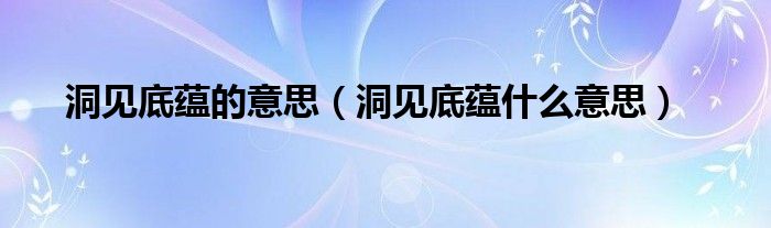 洞见底蕴的意思（洞见底蕴什么意思）