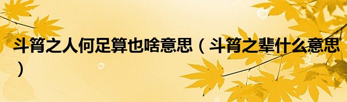 斗筲之人何足算也啥意思（斗筲之辈什么意思）