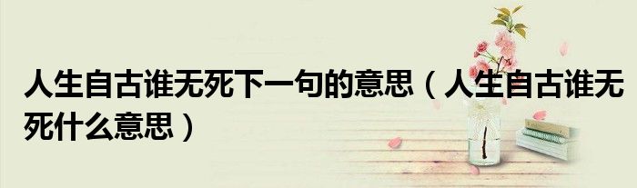 人生自古谁无死下一句的意思（人生自古谁无死什么意思）