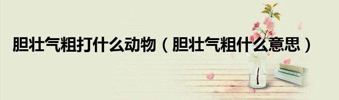 胆壮气粗打什么动物（胆壮气粗什么意思）