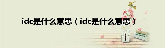 idc是什么意思（idc是什么意思）