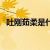 吐刚茹柔是什么意思（柔茹刚吐什么意思）