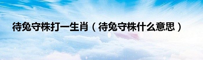待兔守株打一生肖（待兔守株什么意思）