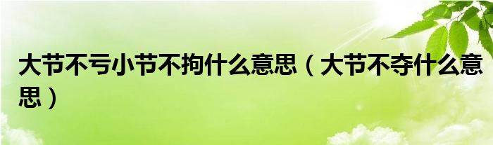 大节不亏小节不拘什么意思（大节不夺什么意思）