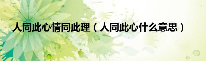 人同此心情同此理（人同此心什么意思）
