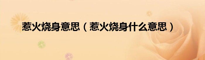 惹火烧身意思（惹火烧身什么意思）