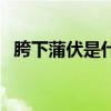 胯下蒲伏是什么生肖（胯下蒲伏什么意思）