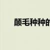 颠毛种种的释义（颠毛种种什么意思）