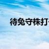 待兔守株打一生肖（待兔守株什么意思）