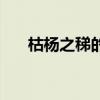 枯杨之稊的释义（枯杨之稊什么意思）