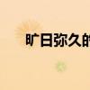 旷日弥久的释义（旷日弥久什么意思）