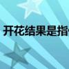 开花结果是指什么意思（开花结果什么意思）