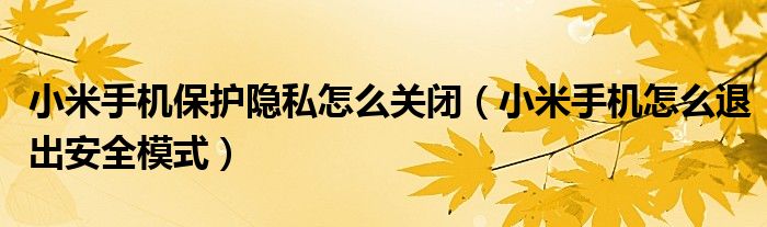 小米手机保护隐私怎么关闭（小米手机怎么退出安全模式）