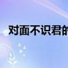 对面不识君的前一句（对面不识什么意思）