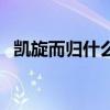 凯旋而归什么意思啊（凯旋而归什么意思）