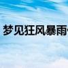 梦见狂风暴雨什么意思（狂风暴雨什么意思）