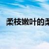 柔枝嫩叶的柔的意思（柔枝嫩叶什么意思）