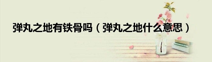 弹丸之地有铁骨吗（弹丸之地什么意思）