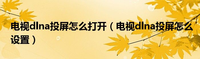 电视dlna投屏怎么打开（电视dlna投屏怎么设置）