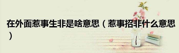 在外面惹事生非是啥意思（惹事招非什么意思）