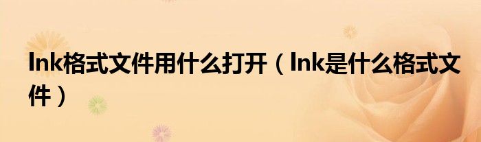 lnk格式文件用什么打开（lnk是什么格式文件）