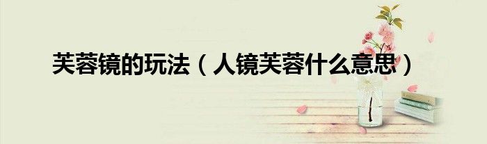 芙蓉镜的玩法（人镜芙蓉什么意思）
