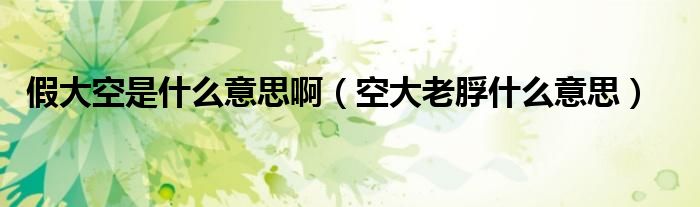 假大空是什么意思啊（空大老脬什么意思）