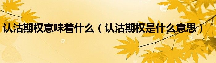 认沽期权意味着什么（认沽期权是什么意思）