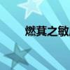 燃萁之敏成语（燃萁之敏什么意思）