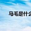 马毛是什么意思（热毛子马什么意思）