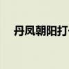 丹凤朝阳打一数字（丹凤朝阳什么意思）