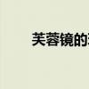 芙蓉镜的玩法（人镜芙蓉什么意思）