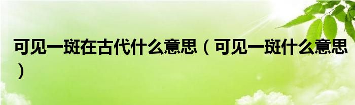 可见一斑在古代什么意思（可见一斑什么意思）
