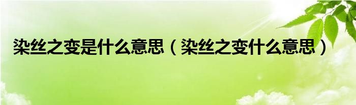 染丝之变是什么意思（染丝之变什么意思）