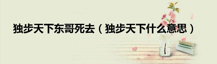 独步天下东哥死去（独步天下什么意思）