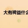 大有裨益什么意思啊（大有裨益什么意思）