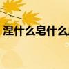 涅什么皂什么成语大全（染蓝涅皂什么意思）