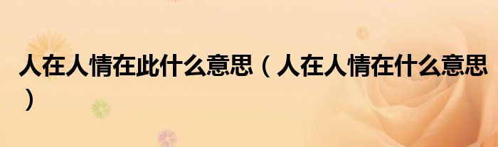 人在人情在此什么意思（人在人情在什么意思）