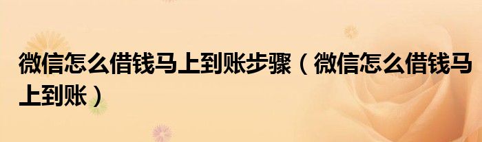微信怎么借钱马上到账步骤（微信怎么借钱马上到账）