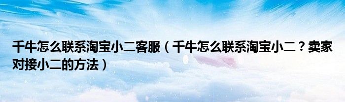 千牛怎么联系淘宝小二客服（千牛怎么联系淘宝小二？卖家对接小二的方法）