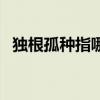独根孤种指哪个生肖（独根孤种什么意思）